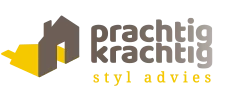 Prachtig-Krachtig-Styl-advies